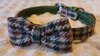 BD BOW TIE GROEN 40CM