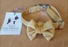 FIFI COLLAR QUINN + BOW OCHRE+ SILVER
