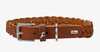 Hunter collar solid education cognac