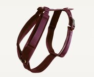 Hondenharnas actief velvet bordeaux