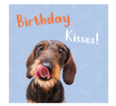 Kaart Birthday Kisses Teckel 75614