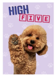 Kaart A5 High Five (v) 93121