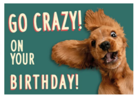 Kaart A5 Crazy Dog (h) 93131