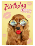 Kaart A5 Birthday Kisses Spaniel (v) 93340
