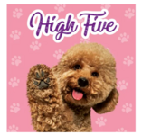 Kaart High Five 93334
