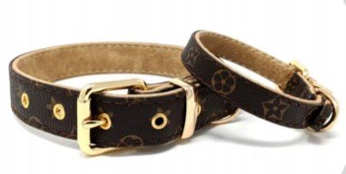 CATWALK DOG - FLOWER COLLAR BROWN