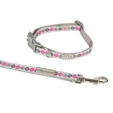 PUPPY SET HALSBAND EN LIJN ROZE