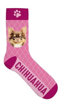 SOKKEN CHIHUAHUA 37-42