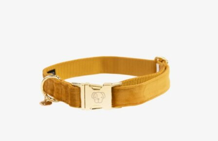 Hondenhalsband velvet mosterd