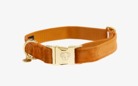 Hondenhalsband velvet oranje