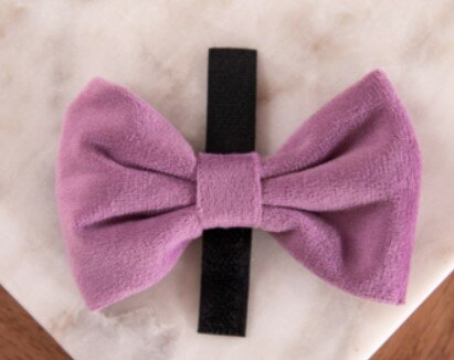 F&amp;C BOW TIE LAVIE NORMAL