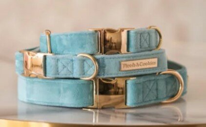 F&amp;C VELVY MINTY COLLAR