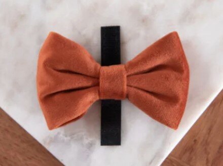 F&amp;C BOW TIE VELVY COCO NORMAL