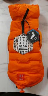 51DN TECKEL EDGE COAT ORANGE