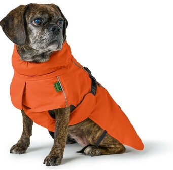 HUNTER COAT NORDBY ORANGE PUG &amp; FRENCHIE