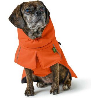 HUNTER COAT NORDBY ORANGE PUG &amp; FRENCHIE