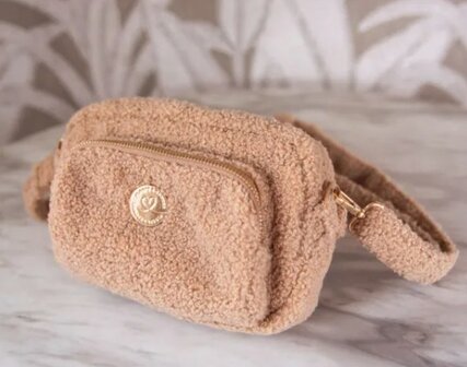F&amp;C FANCY DOG MOM BAG TEDDY BROWNY