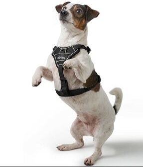 Hunter Harness Divo Up black