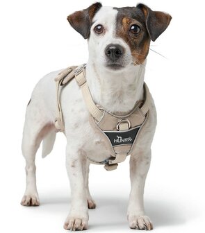 Hunter Harness Divo Up taupe