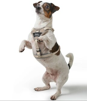 Hunter Harness Divo Up taupe