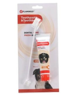 Tandpasta &amp; Tandenborstel Dafra Tube