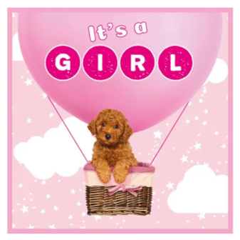 Kaart It's A Girl 75638