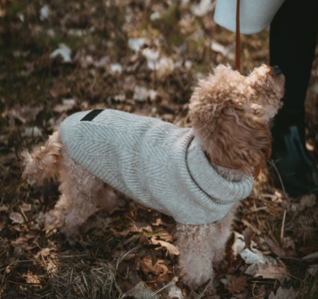 HUNTER GENF TRUI BEIGE