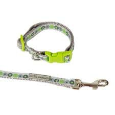 PUPPY SET HALSBAND EN LIJN GROEN