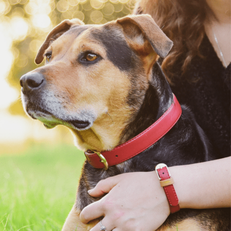 FRIENDSHIPCOLLAR BORDEAUX