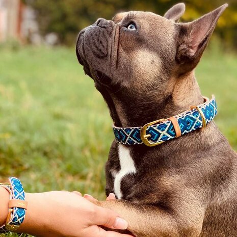 FRIENDSHIPCOLLAR MUCKY PUP