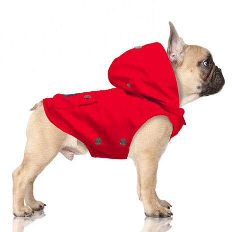 M&P TRIBORD Imper Rouge French bulldog