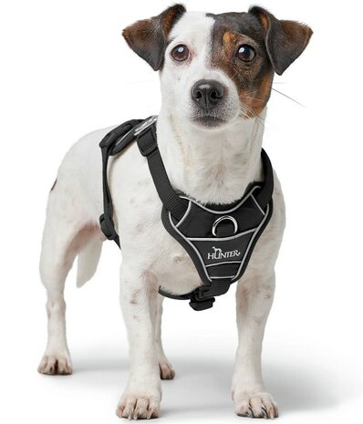 Hunter Harness Divo Up black