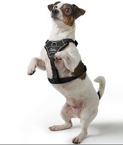 Hunter Harness Divo Up black