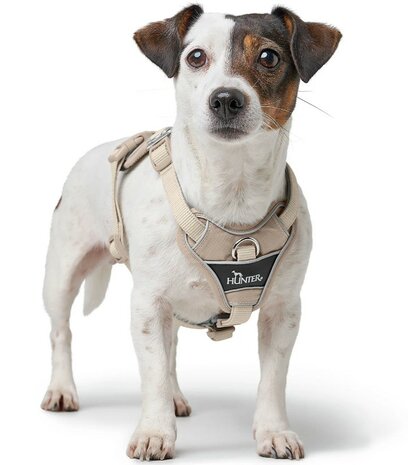 Hunter Harness Divo Up taupe