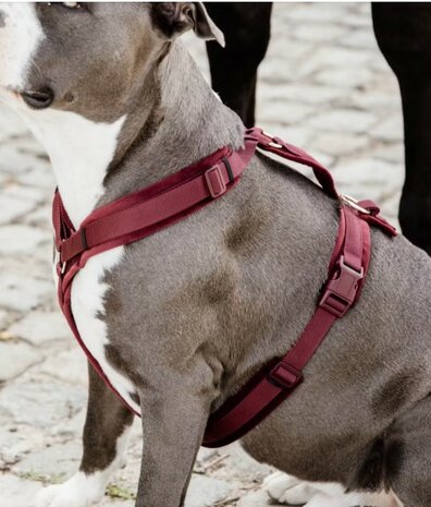 Hondenharnas actief velvet bordeaux