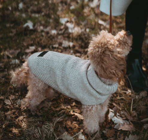 HUNTER GENF TRUI BEIGE