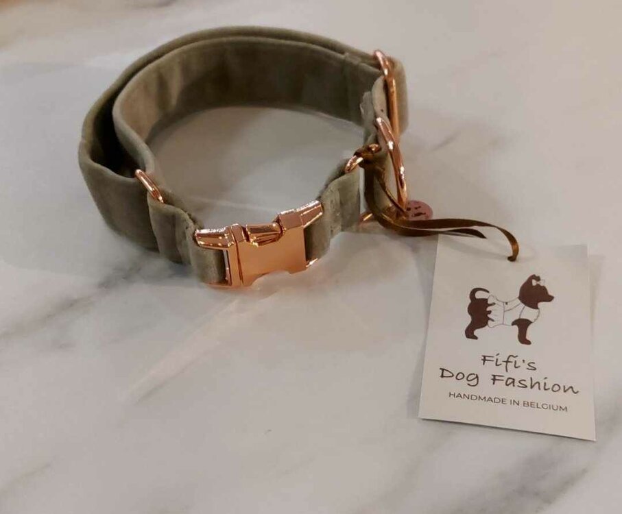 FIFI COLLAR KING HERB