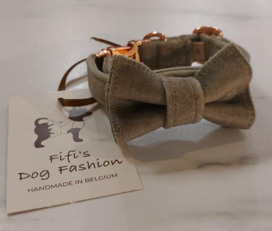 FIFI COLLAR QUINN + BOW HERB + ROSE GOLD