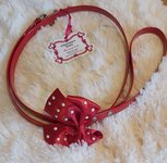 CHARLOTTE'S DRESS KERSTLIJN ROOD MET WITTE BOLLETJES