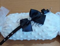 CD MABEL ZWART MET ZWARTE STRIK + CRYSTAL