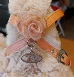 TTB TUIG CORA OUD ROZE MAAT XS