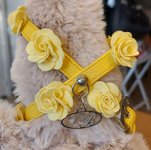 TTB TUIG CINZIA GEEL