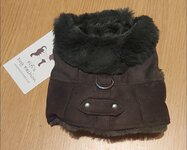 OLD SCHOOL SUEDE GROEN