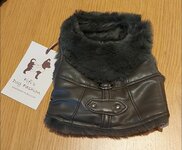 OLD SCHOOL LEDER GROEN