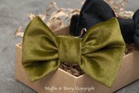 BOW TIE FRANCESCO SIZE L GROEN