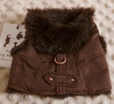 OLD SCHOOL SUEDE BRUIN