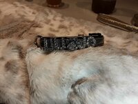 LIU JO COLLAR GLITTER GUN METAL (maat L)