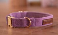 F&C VELVY LAVIE COLLAR