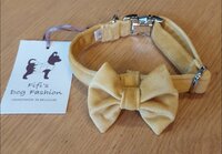 FIFI COLLAR QUINN + BOW OCHRE+ SILVER