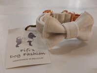 FIFI COLLAR QUINN + BOW ECRU VELVET + ROSE GOLD